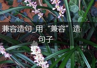 兼容造句_用“兼容”造句子
