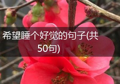 希望睡个好觉的句子(共50句)