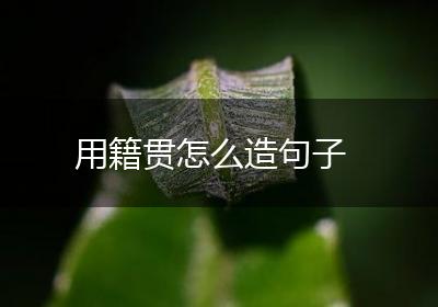 用籍贯怎么造句子