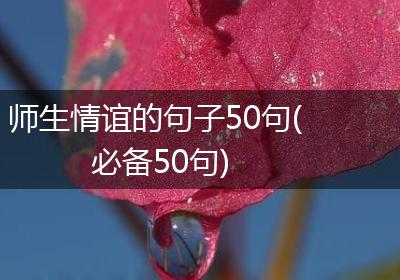 师生情谊的句子50句(必备50句)