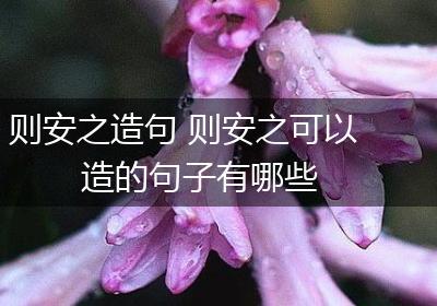 则安之造句 则安之可以造的句子有哪些