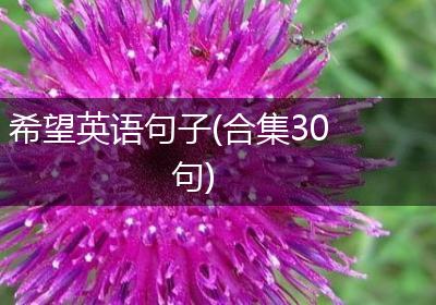 希望英语句子(合集30句)