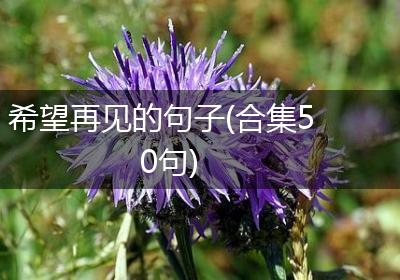 希望再见的句子(合集50句)