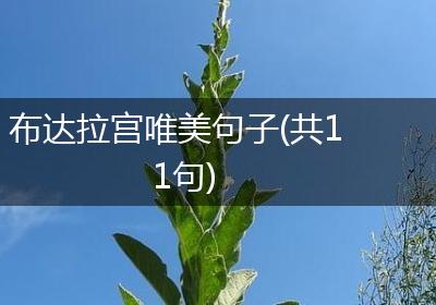 布达拉宫唯美句子(共11句)