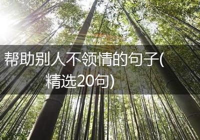 帮助别人不领情的句子(精选20句)