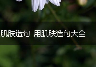 肌肤造句_用肌肤造句大全