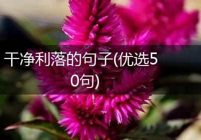 干净利落的句子(优选50句)