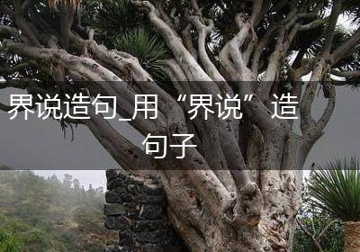 界说造句_用“界说”造句子
