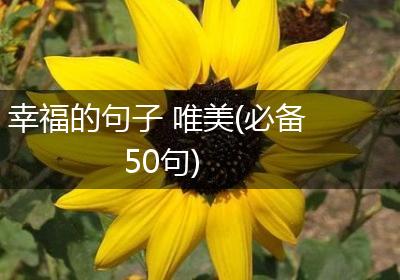 幸福的句子 唯美(必备50句)