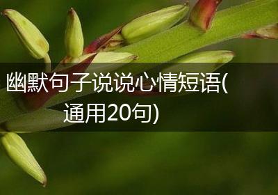 幽默句子说说心情短语(通用20句)