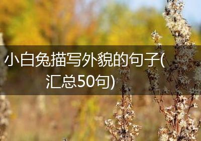 小白兔描写外貌的句子(汇总50句)