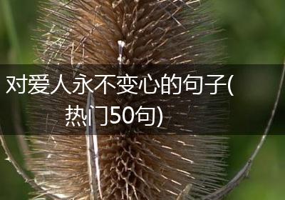 对爱人永不变心的句子(热门50句)