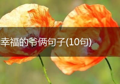 幸福的爷俩句子(10句)
