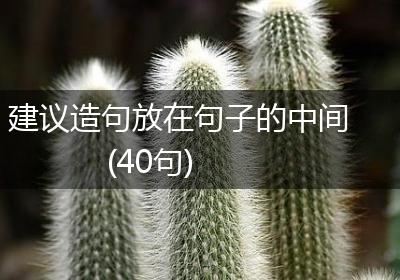 建议造句放在句子的中间(40句)
