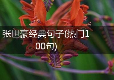 张世豪经典句子(热门100句)