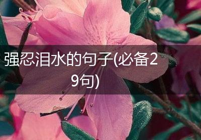 强忍泪水的句子(必备29句)