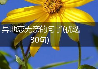 异地恋无奈的句子(优选30句)