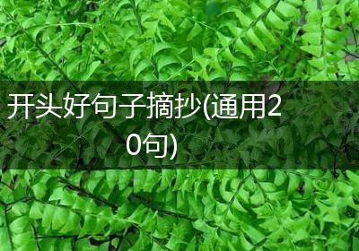 开头好句子摘抄(通用20句)