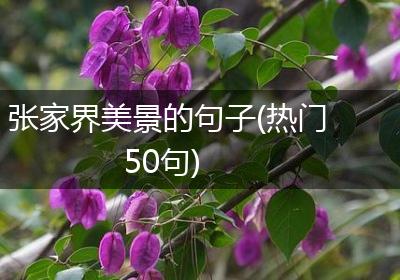 张家界美景的句子(热门50句)