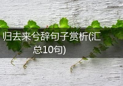 归去来兮辞句子赏析(汇总10句)