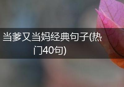 当爹又当妈经典句子(热门40句)