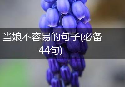 当娘不容易的句子(必备44句)