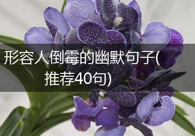 形容人倒霉的幽默句子(推荐40句)
