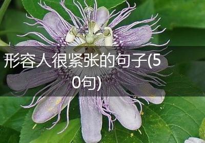 形容人很紧张的句子(50句)
