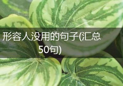 形容人没用的句子(汇总50句)