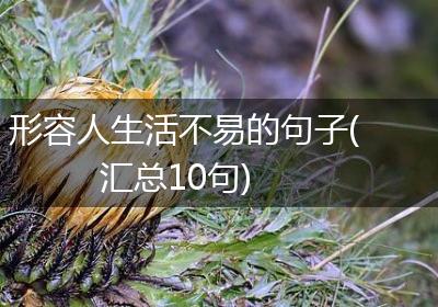 形容人生活不易的句子(汇总10句)