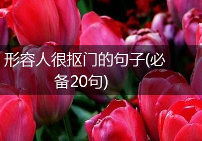 形容人很抠门的句子(必备20句)