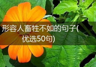 形容人畜牲不如的句子(优选50句)