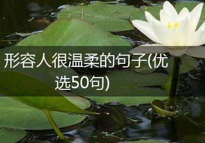 形容人很温柔的句子(优选50句)