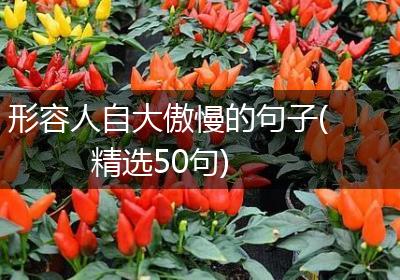 形容人自大傲慢的句子(精选50句)