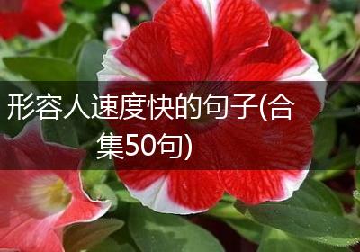 形容人速度快的句子(合集50句)