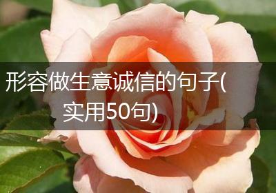 形容做生意诚信的句子(实用50句)