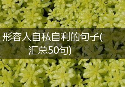 形容人自私自利的句子(汇总50句)