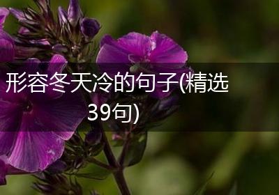 形容冬天冷的句子(精选39句)