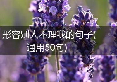 形容别人不理我的句子(通用50句)