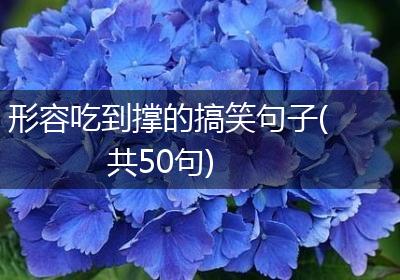 形容吃到撑的搞笑句子(共50句)