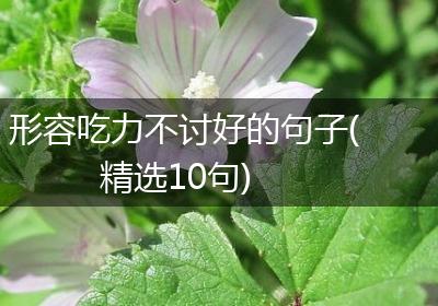 形容吃力不讨好的句子(精选10句)