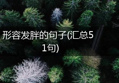 形容发胖的句子(汇总51句)