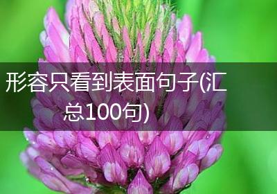 形容只看到表面句子(汇总100句)