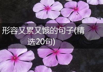 形容又累又饿的句子(精选20句)