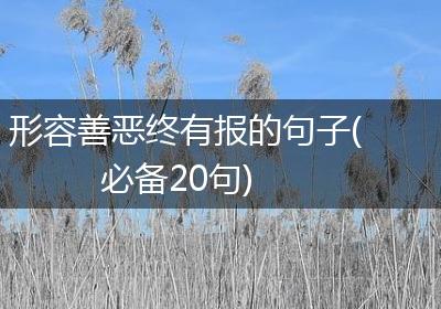 形容善恶终有报的句子(必备20句)