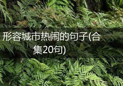 形容城市热闹的句子(合集20句)