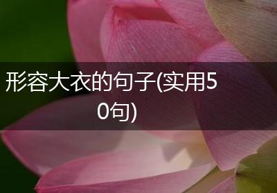 形容大衣的句子(实用50句)