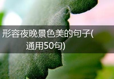 形容夜晚景色美的句子(通用50句)