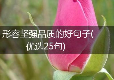 形容坚强品质的好句子(优选25句)