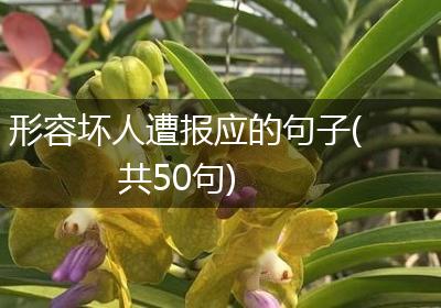 形容坏人遭报应的句子(共50句)